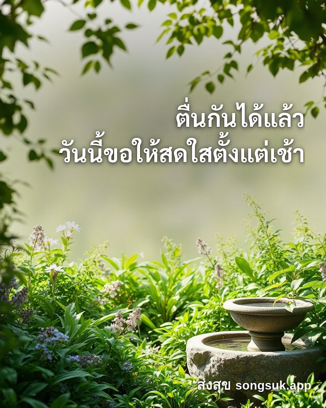 รูปอวยพร สวัสดีวันพุธ
ตื่นกันได้แล้ว
วันนี้ขอให้สดใสตั้งแต่เช้า จากส่งสุข