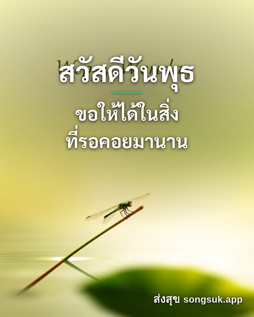 รูปอวยพร สวัสดีวันพุธ
ขอให้ได้ในสิ่ง
ที่รอคอยมานาน จากส่งสุข