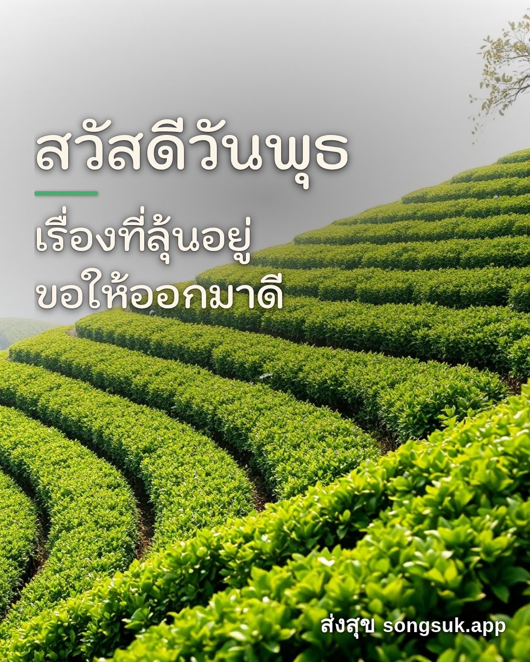 รูปอวยพร สวัสดีวันพุธ
เรื่องที่ลุ้นอยู่
ขอให้ออกมาดี จากส่งสุข