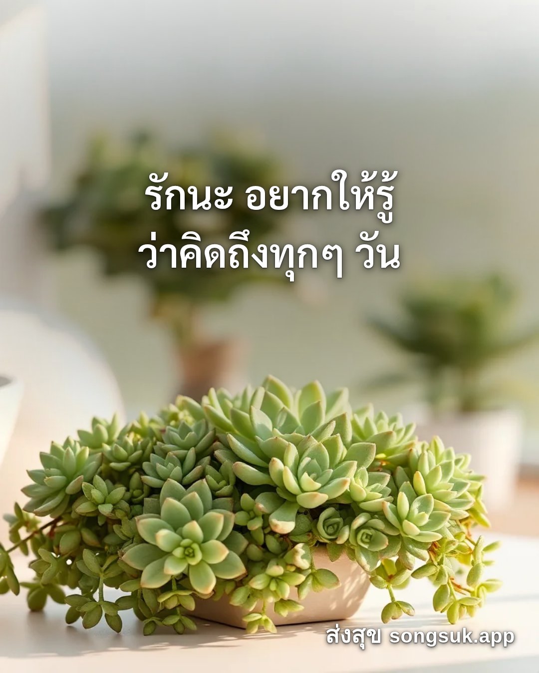 รูปอวยพร สวัสดีวันพุธ
รักนะ อยากให้รู้
ว่าคิดถึงทุกๆ วัน จากส่งสุข