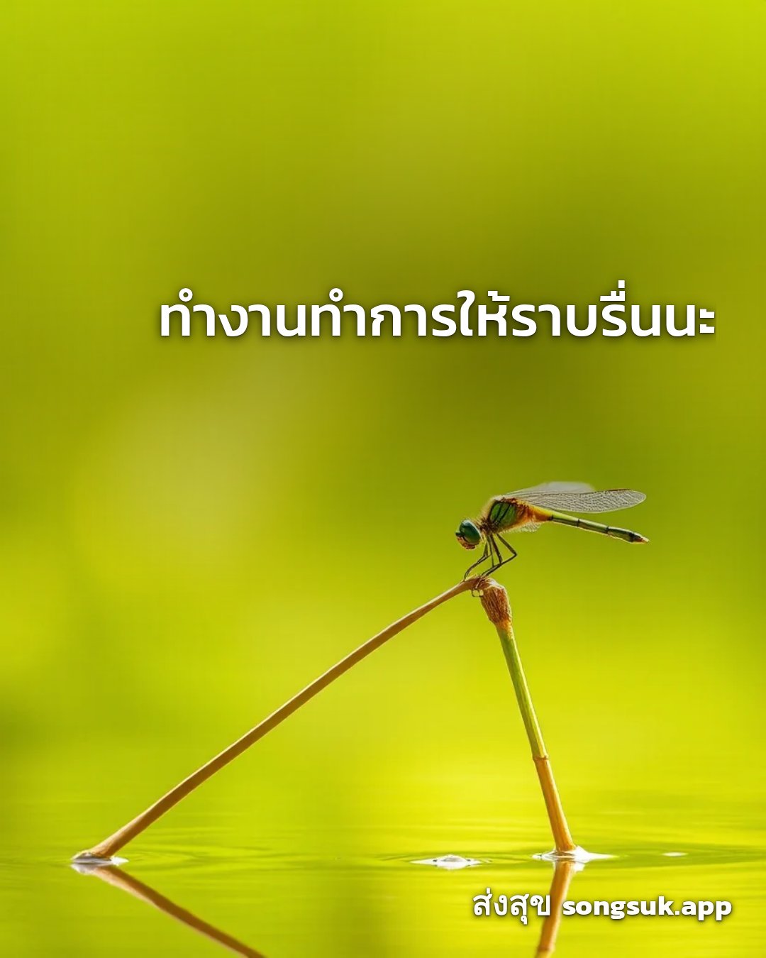 รูปอวยพร สวัสดีวันพุธ
ทำงานทำการให้ราบรื่นนะ จากส่งสุข