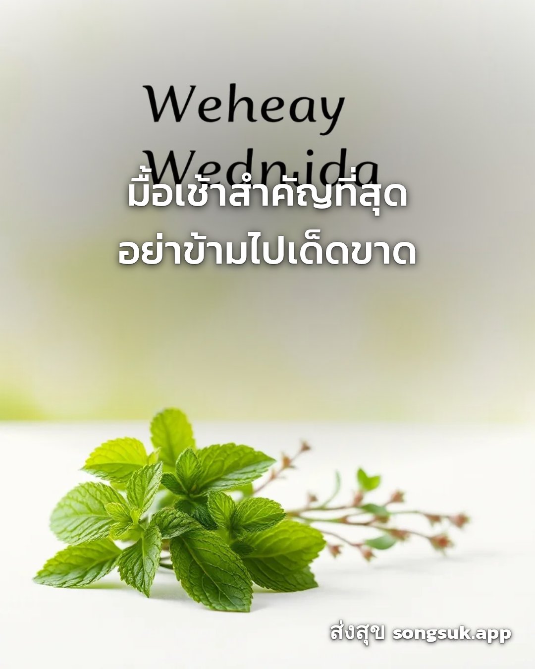 รูปอวยพร สวัสดีวันพุธ
มื้อเช้าสำคัญที่สุด
อย่าข้ามไปเด็ดขาด จากส่งสุข