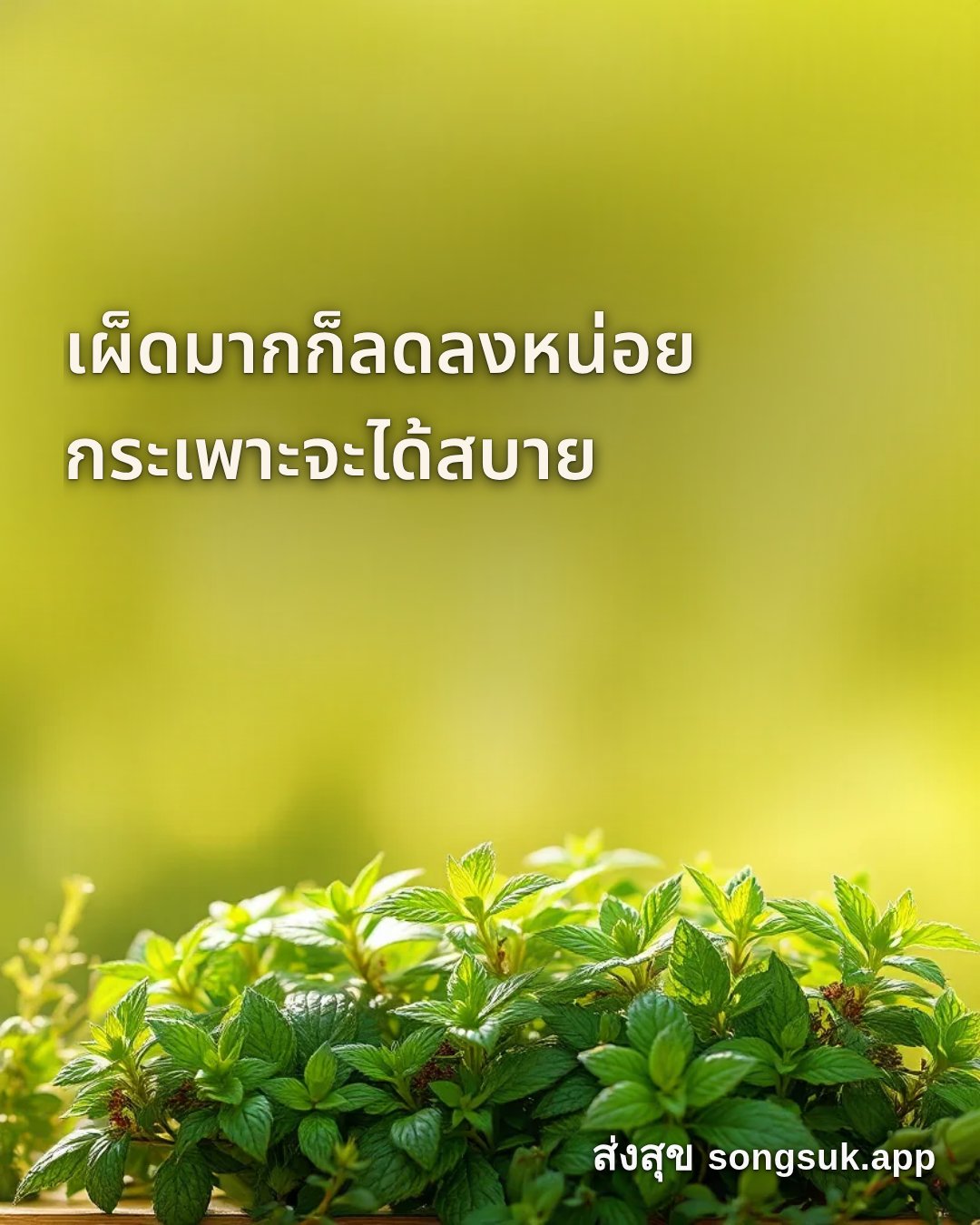รูปอวยพร สวัสดีวันพุธ
เผ็ดมากก็ลดลงหน่อย
กระเพาะจะได้สบาย จากส่งสุข