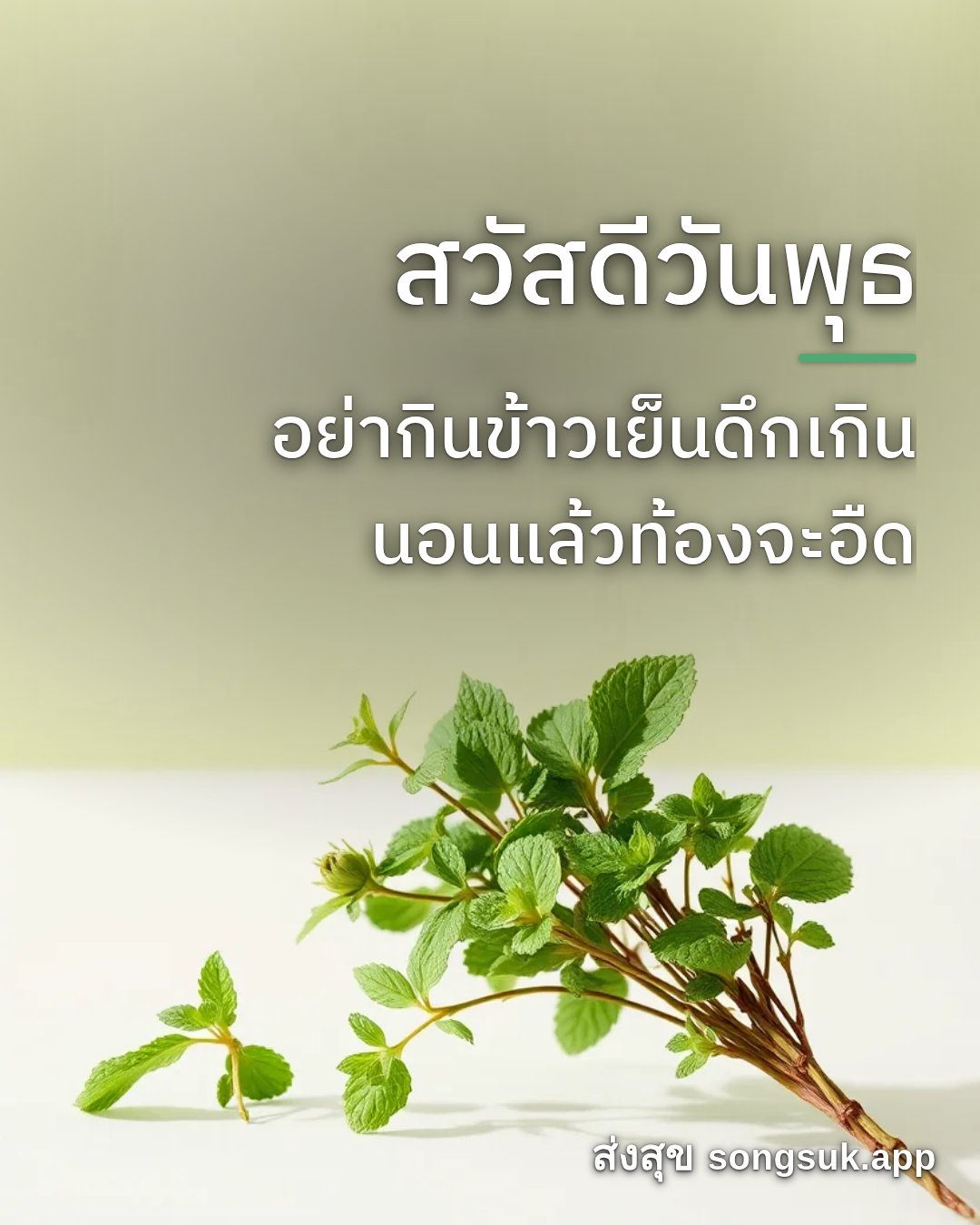 รูปอวยพร สวัสดีวันพุธ
อย่ากินข้าวเย็นดึกเกิน
นอนแล้วท้องจะอืด จากส่งสุข