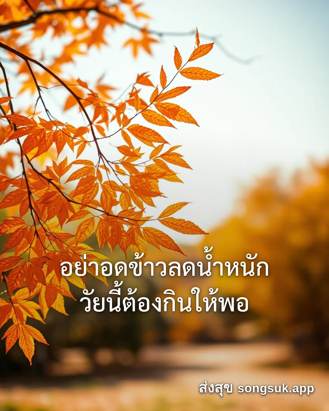 รูปอวยพร สวัสดีวันพฤหัสบดี
อย่าอดข้าวลดน้ำหนัก
วัยนี้ต้องกินให้พอ จากส่งสุข