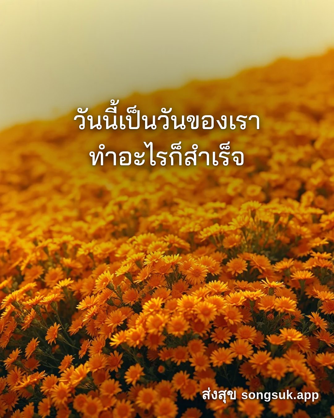 รูปอวยพร สวัสดีวันพฤหัสบดี
วันนี้เป็นวันของเรา
ทำอะไรก็สำเร็จ จากส่งสุข