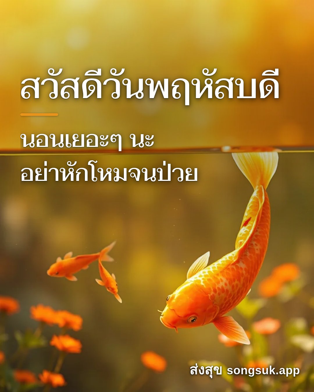 รูปอวยพร สวัสดีวันพฤหัสบดี
นอนเยอะๆ นะ
อย่าหักโหมจนป่วย จากส่งสุข