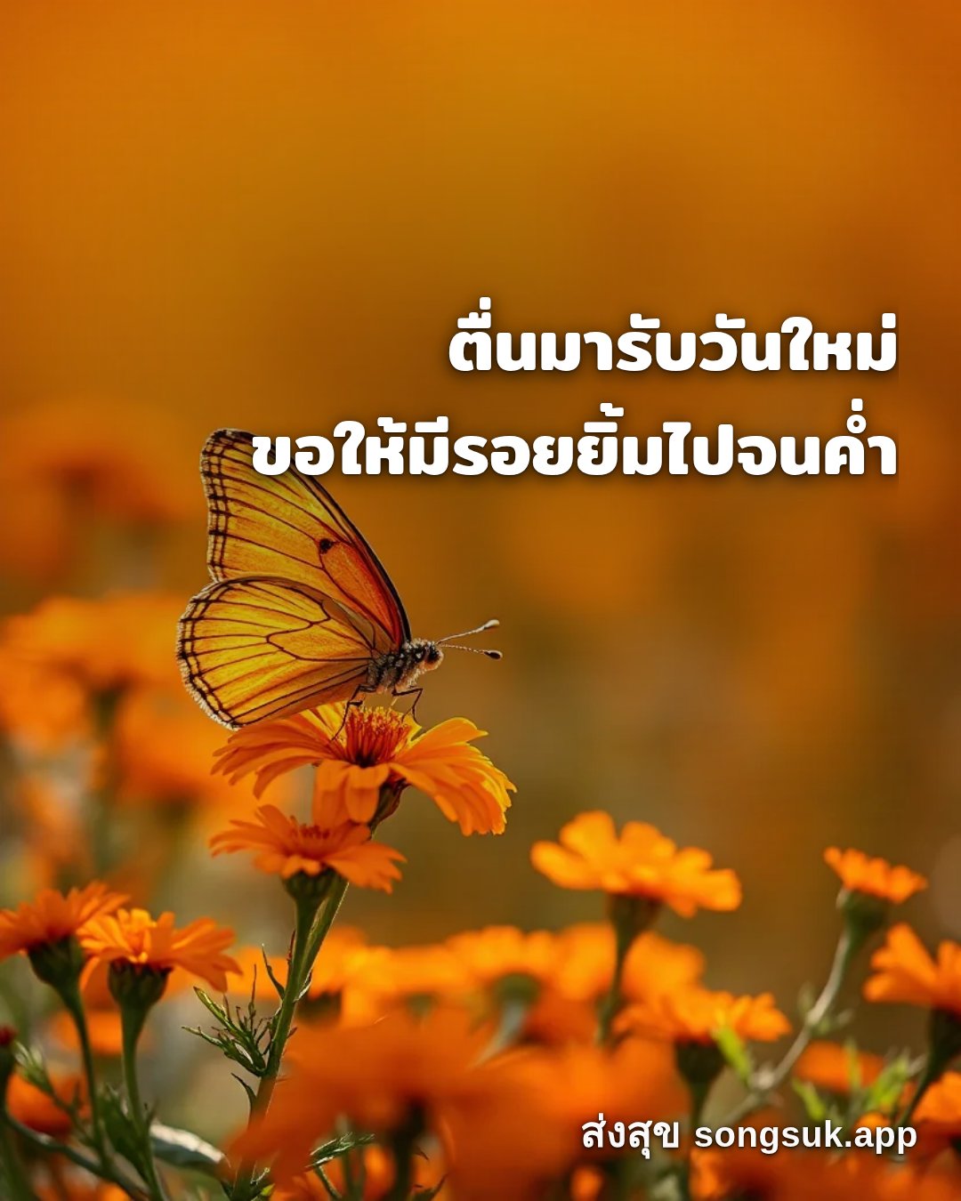 รูปอวยพร สวัสดีวันพฤหัสบดี
ตื่นมารับวันใหม่
ขอให้มีรอยยิ้มไปจนค่ำ จากส่งสุข