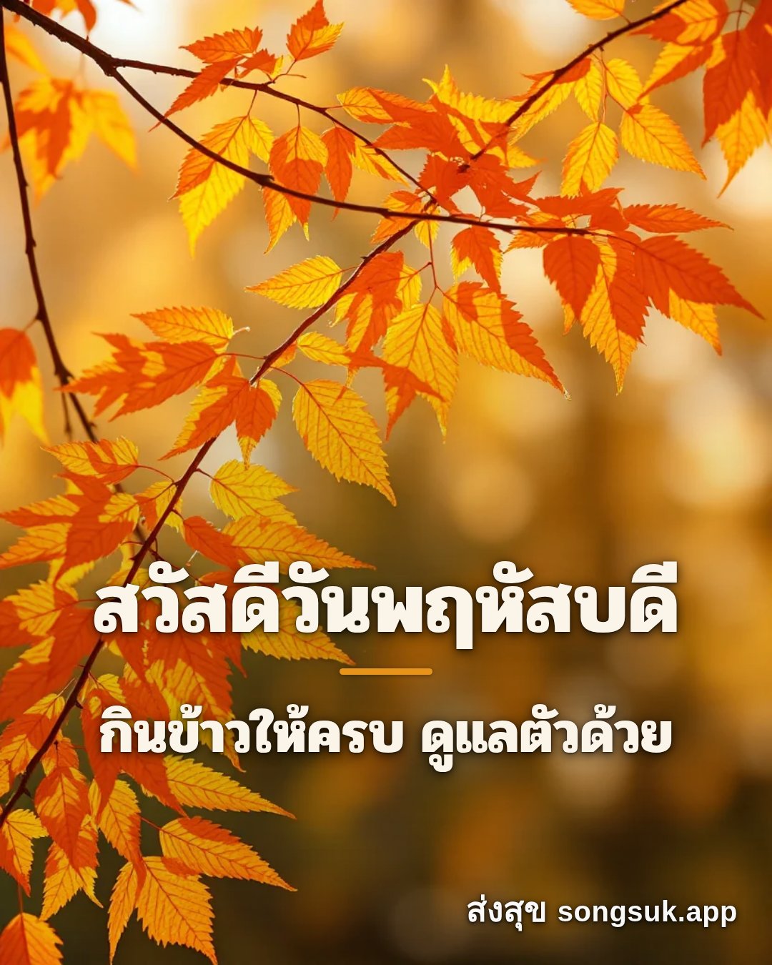 รูปอวยพร สวัสดีวันพฤหัสบดี
กินข้าวให้ครบ ดูแลตัวด้วย จากส่งสุข