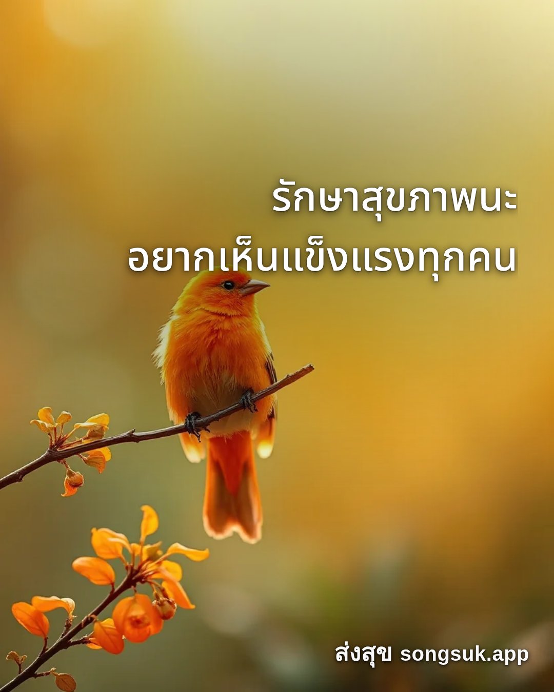 รูปอวยพร สวัสดีวันพฤหัสบดี
รักษาสุขภาพนะ
อยากเห็นแข็งแรงทุกคน จากส่งสุข