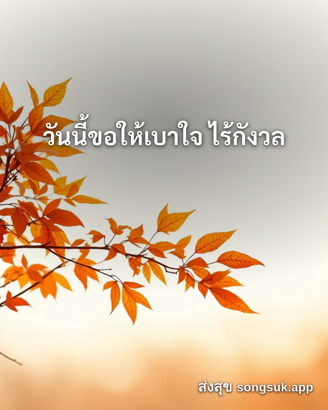 รูปอวยพร สวัสดีวันพฤหัสบดี
วันนี้ขอให้เบาใจ ไร้กังวล จากส่งสุข