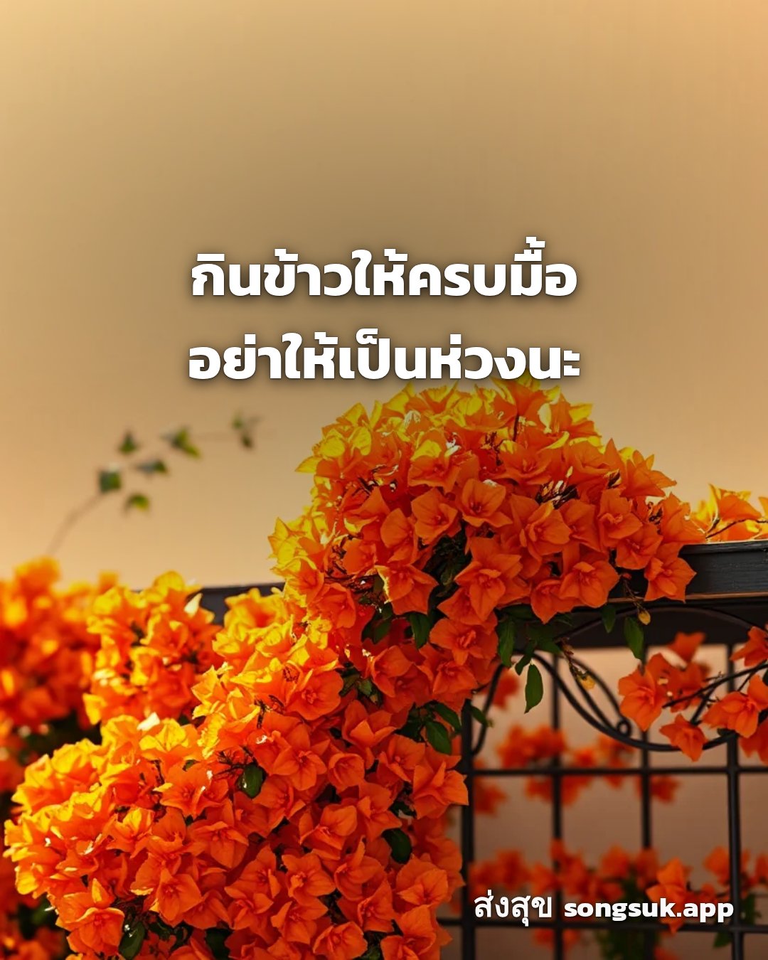 รูปอวยพร สวัสดีวันพฤหัสบดี
กินข้าวให้ครบมื้อ
อย่าให้เป็นห่วงนะ จากส่งสุข