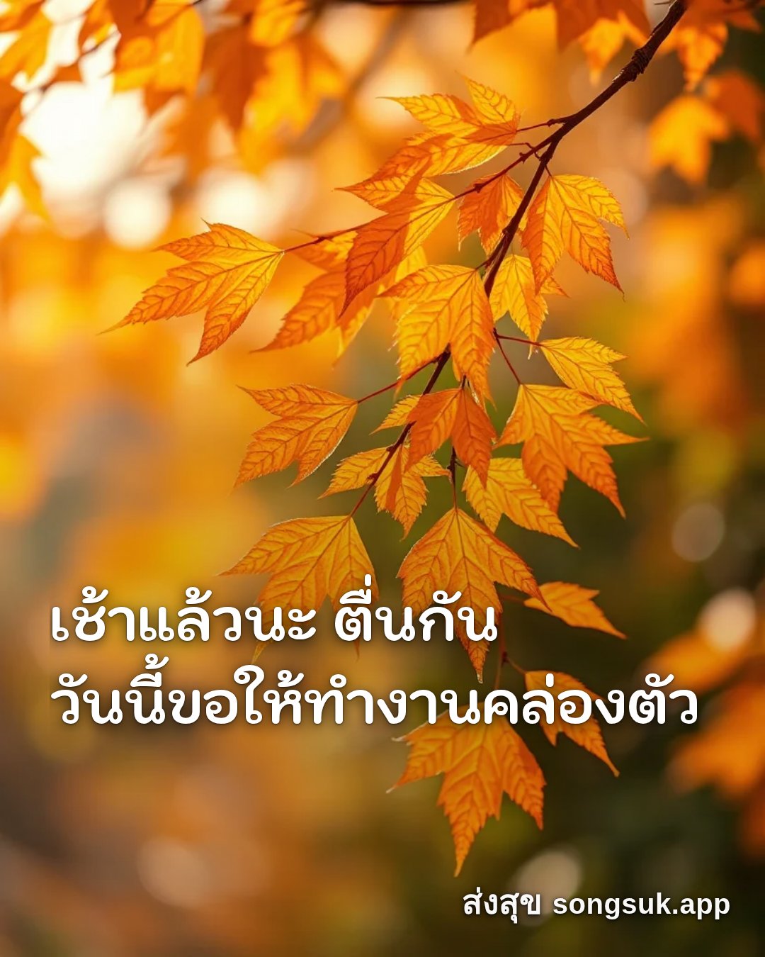 รูปอวยพร สวัสดีวันพฤหัสบดี
เช้าแล้วนะ ตื่นกัน
วันนี้ขอให้ทำงานคล่องตั จากส่งสุข