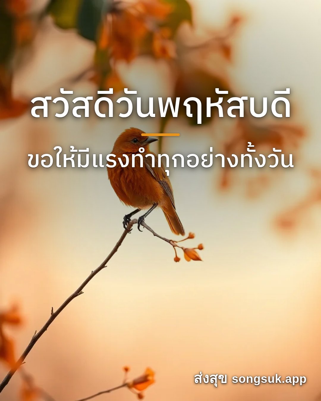 รูปอวยพร สวัสดีวันพฤหัสบดี
ขอให้มีแรงทำทุกอย่างทั้งวัน จากส่งสุข