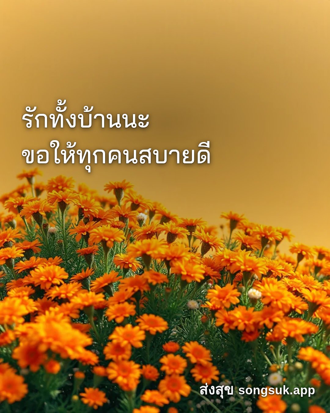 รูปอวยพร สวัสดีวันพฤหัสบดี
รักทั้งบ้านนะ
ขอให้ทุกคนสบายดี จากส่งสุข