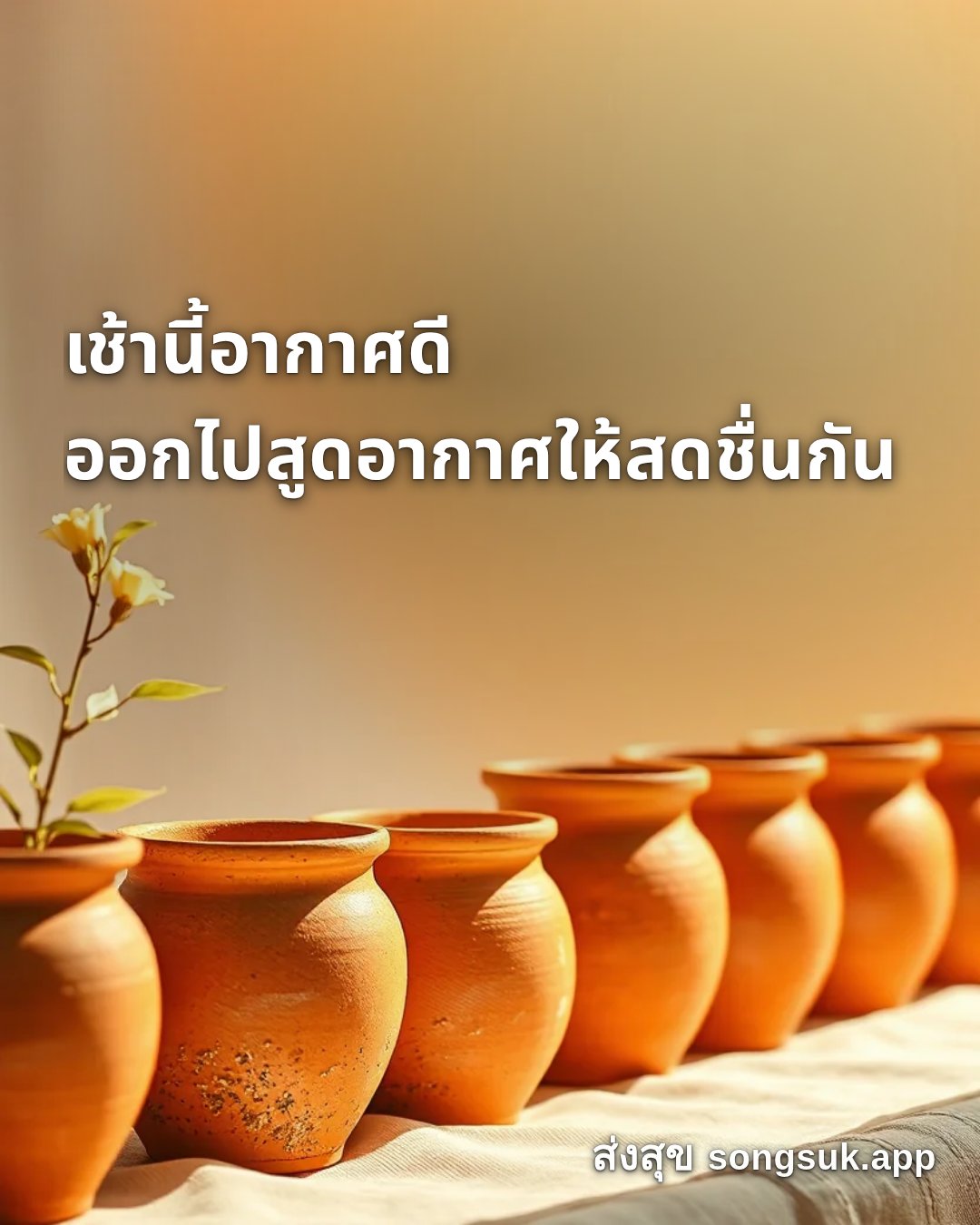 รูปอวยพร สวัสดีวันพฤหัสบดี
เช้านี้อากาศดี
ออกไปสูดอากาศให้สดชื่นกัน จากส่งสุข