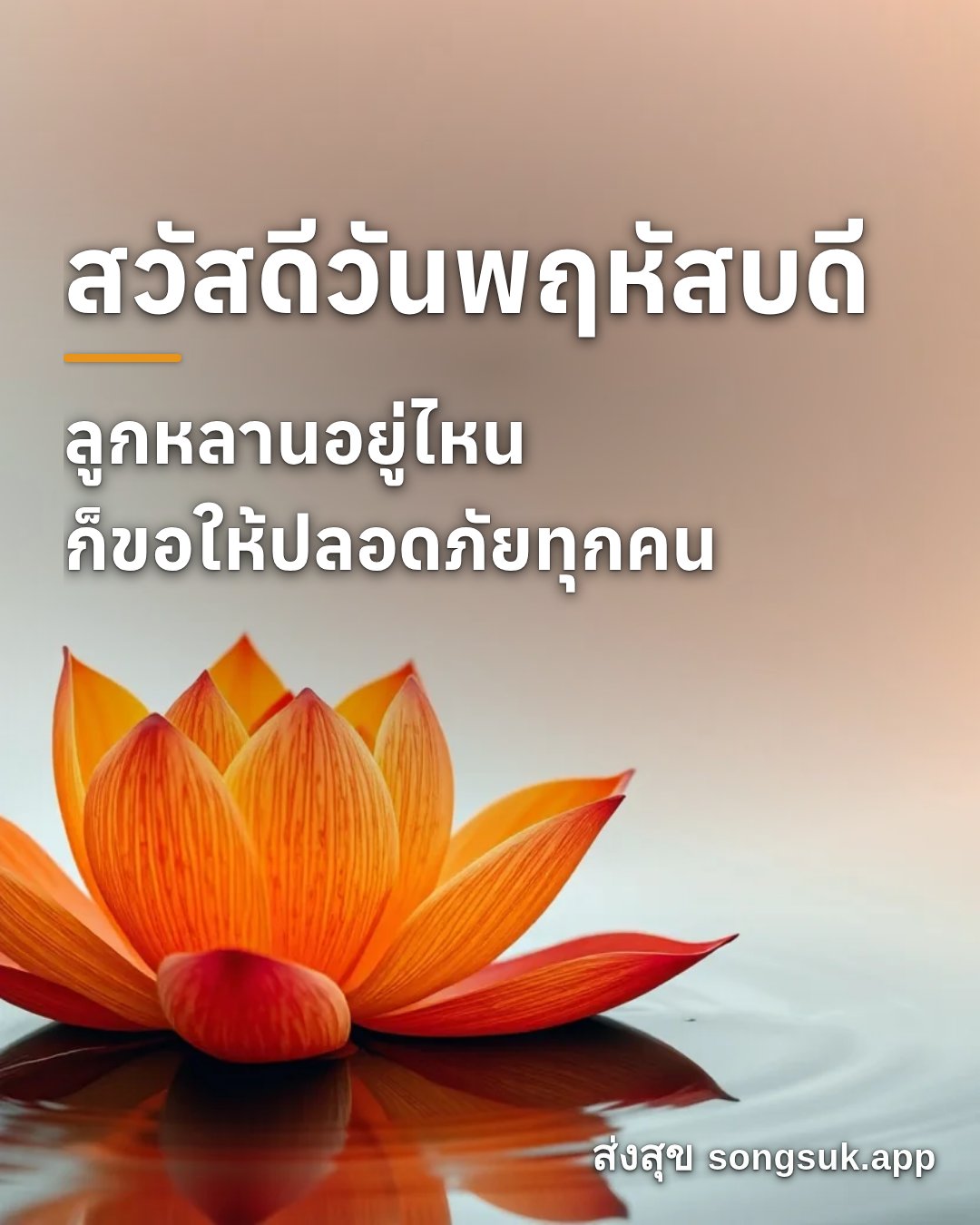 รูปอวยพร สวัสดีวันพฤหัสบดี
ลูกหลานอยู่ไหน
ก็ขอให้ปลอดภัยทุกคน จากส่งสุข