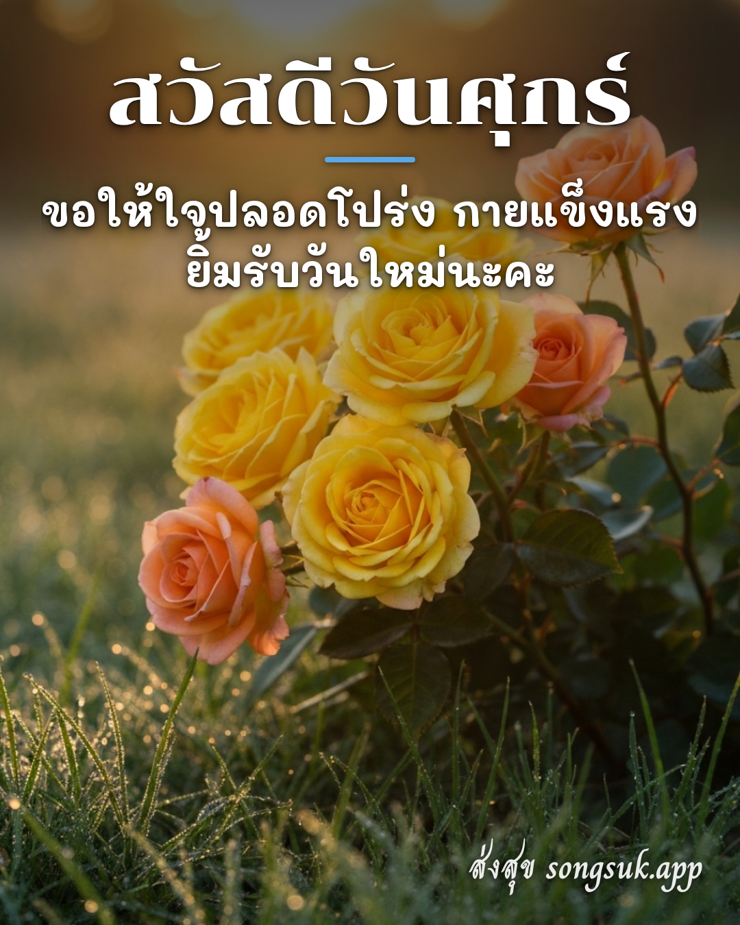 รูปอวยพร สวัสดีวันศุกร์
ขอให้ใจปลอดโปร่ง กายแข็งแรง
ยิ้มรับวันใหม่นะค จากส่งสุข