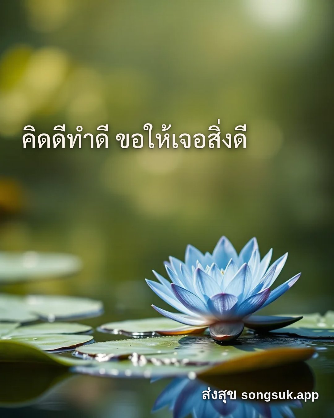 รูปอวยพร สวัสดีวันศุกร์
คิดดีทำดี ขอให้เจอสิ่งดี จากส่งสุข