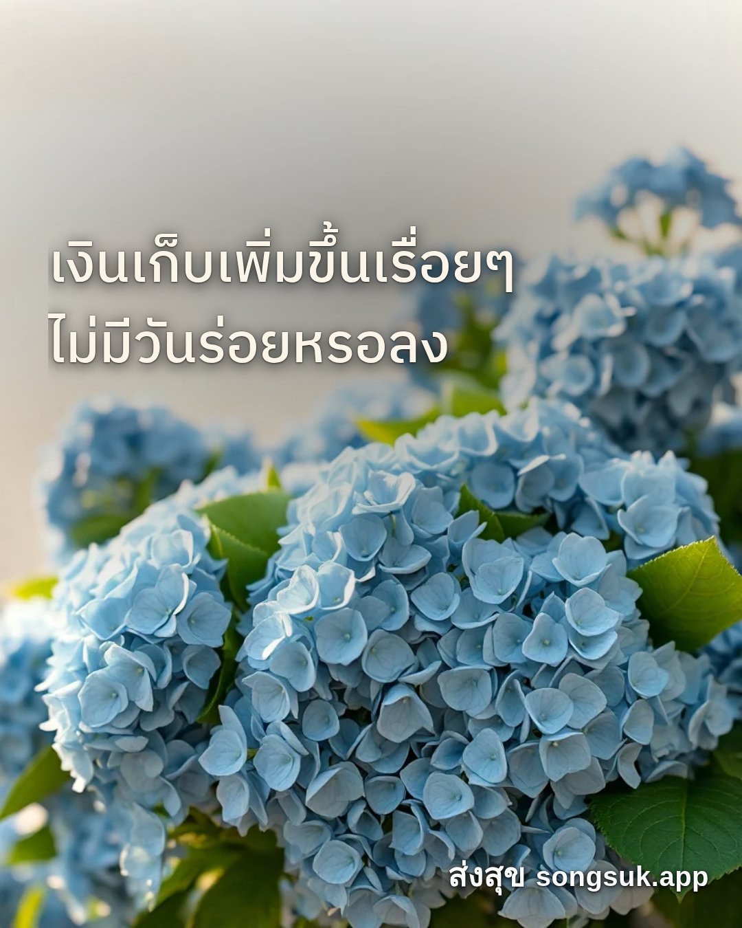 รูปอวยพร สวัสดีวันศุกร์
เงินเก็บเพิ่มขึ้นเรื่อยๆ
ไม่มีวันร่อยหรอลง จากส่งสุข