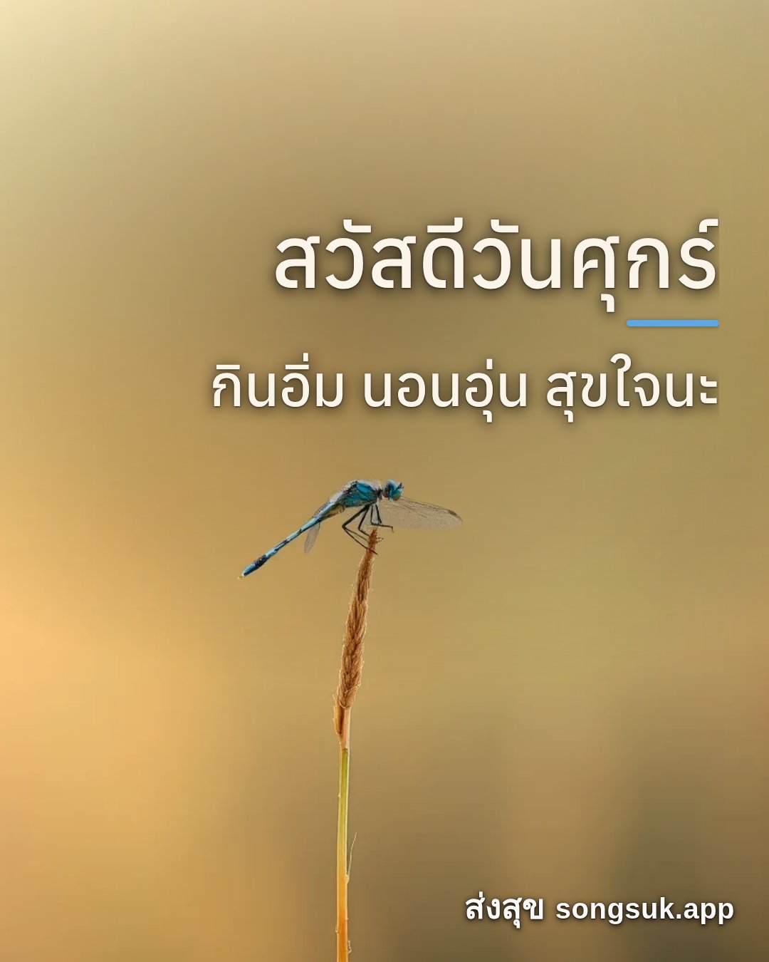 รูปอวยพร สวัสดีวันศุกร์
กินอิ่ม นอนอุ่น สุขใจนะ จากส่งสุข