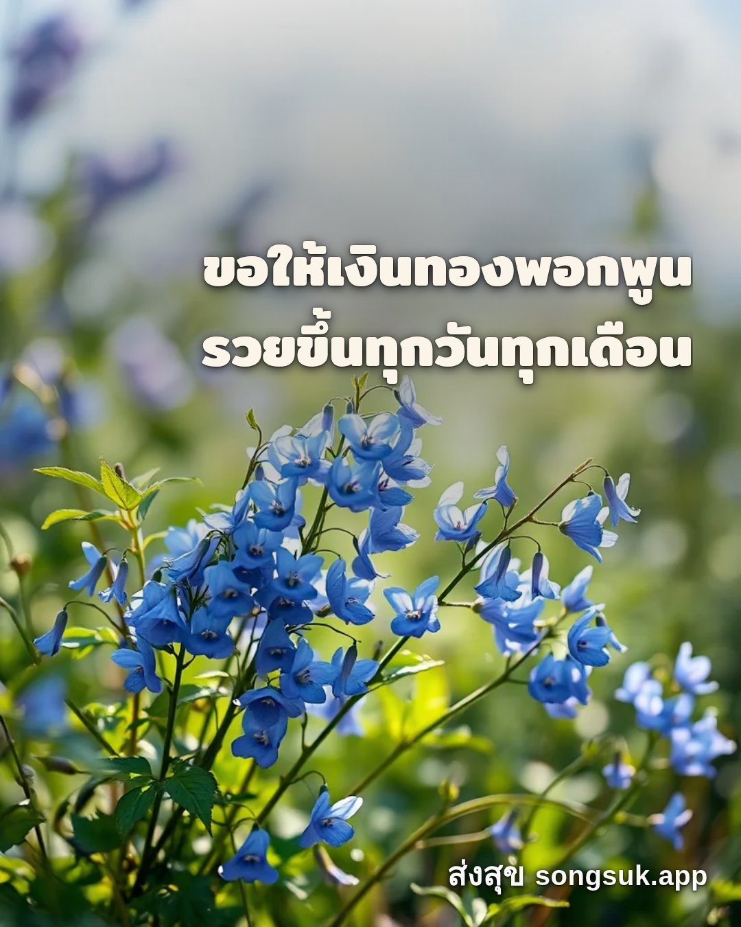 รูปอวยพร สวัสดีวันศุกร์
ขอให้เงินทองพอกพูน
รวยขึ้นทุกวันทุกเดือน จากส่งสุข