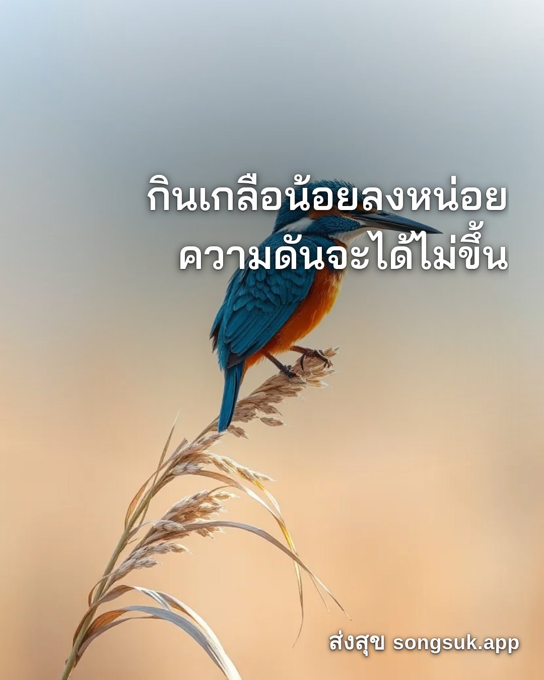 รูปอวยพร สวัสดีวันศุกร์
กินเกลือน้อยลงหน่อย
ความดันจะได้ไม่ขึ้น จากส่งสุข