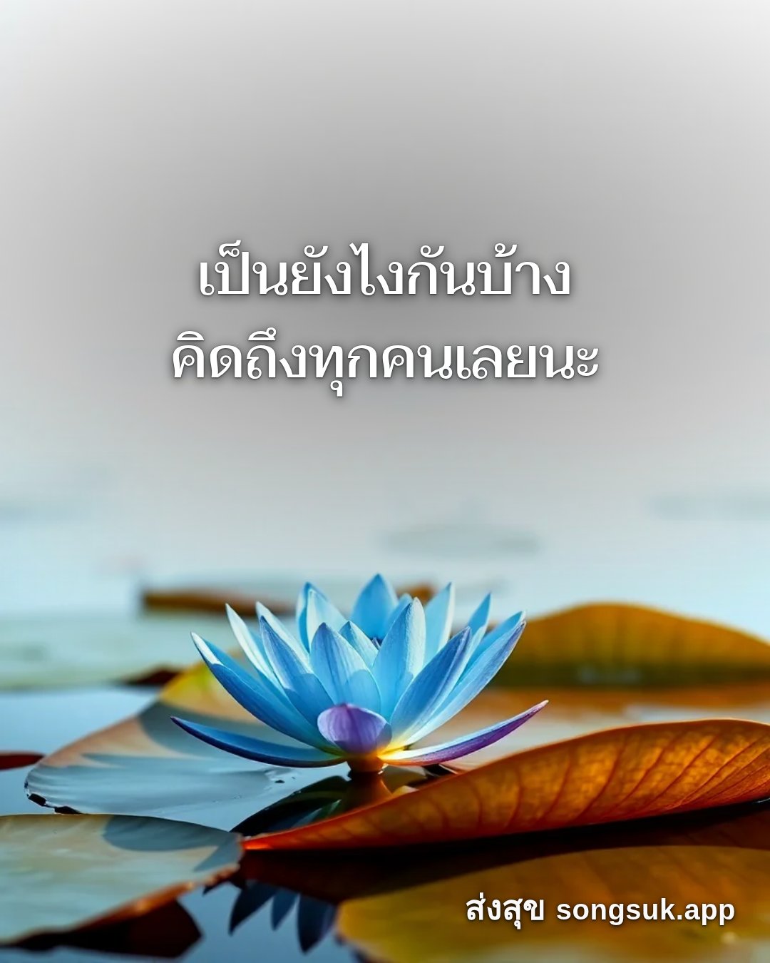 รูปอวยพร สวัสดีวันศุกร์
เป็นยังไงกันบ้าง
คิดถึงทุกคนเลยนะ จากส่งสุข