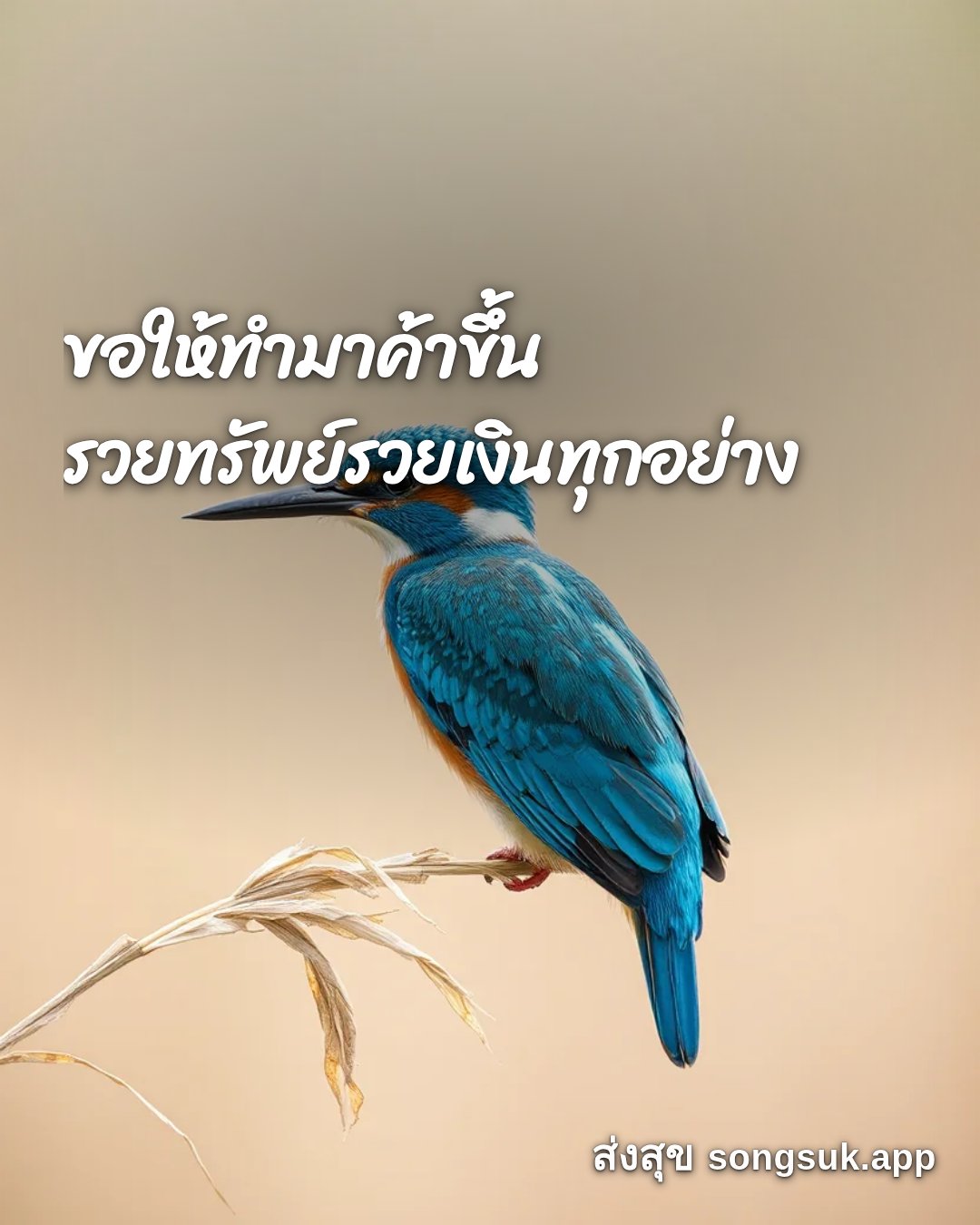 รูปอวยพร สวัสดีวันศุกร์
ขอให้ทำมาค้าขึ้น
รวยทรัพย์รวยเงินทุกอย่าง จากส่งสุข