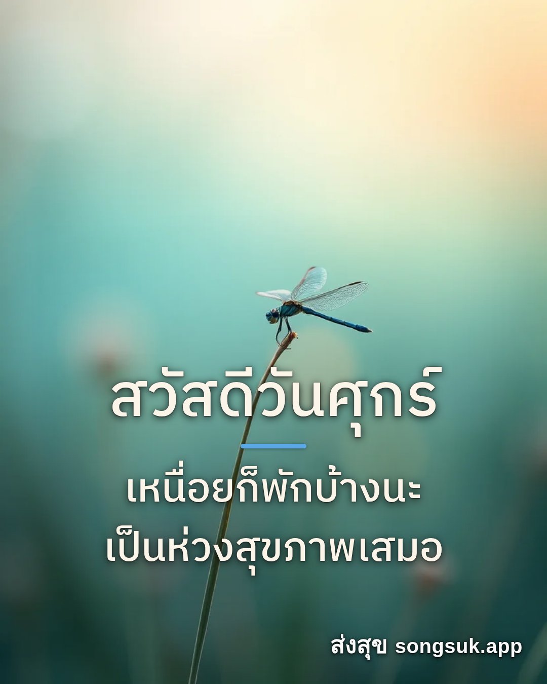 รูปอวยพร สวัสดีวันศุกร์
เหนื่อยก็พักบ้างนะ
เป็นห่วงสุขภาพเสมอ จากส่งสุข