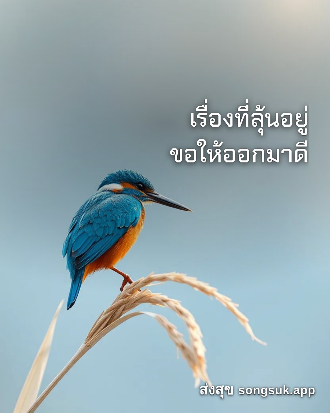 รูปอวยพร สวัสดีวันศุกร์
เรื่องที่ลุ้นอยู่
ขอให้ออกมาดี จากส่งสุข