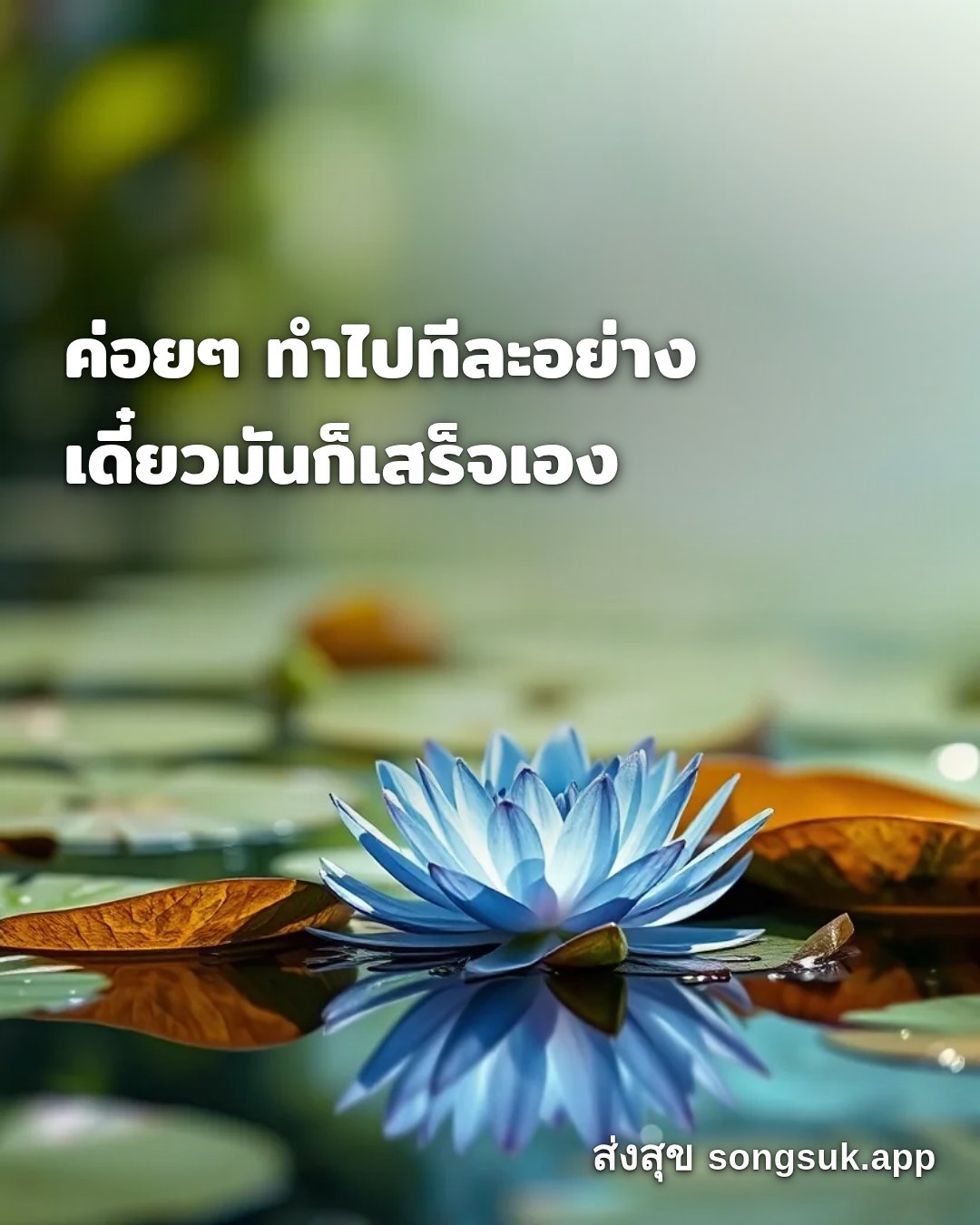 รูปอวยพร สวัสดีวันศุกร์
ค่อยๆ ทำไปทีละอย่าง
เดี๋ยวมันก็เสร็จเอง จากส่งสุข