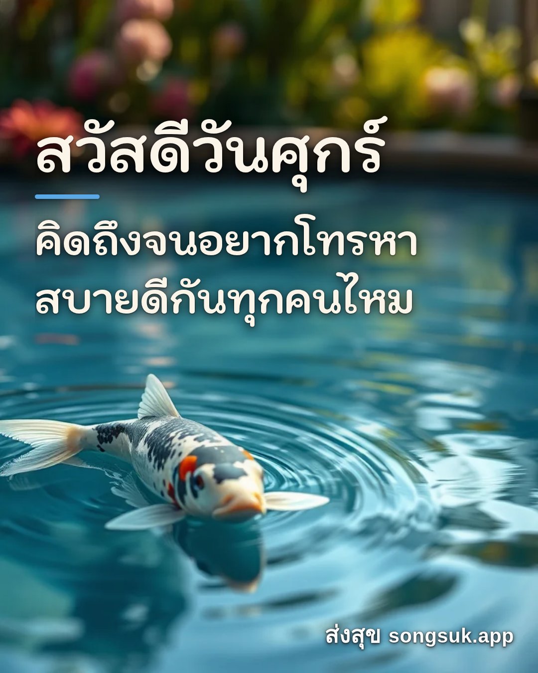 รูปอวยพร สวัสดีวันศุกร์
คิดถึงจนอยากโทรหา
สบายดีกันทุกคนไหม จากส่งสุข