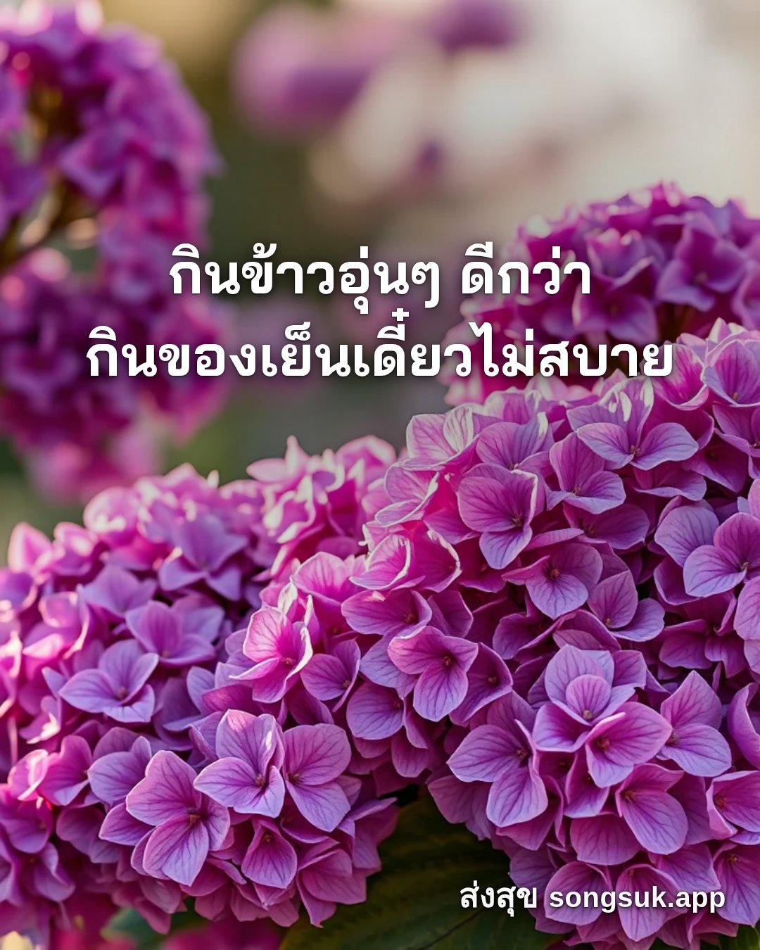 รูปอวยพร สวัสดีวันเสาร์
กินข้าวอุ่นๆ ดีกว่า
กินของเย็นเดี๋ยวไม่สบาย จากส่งสุข