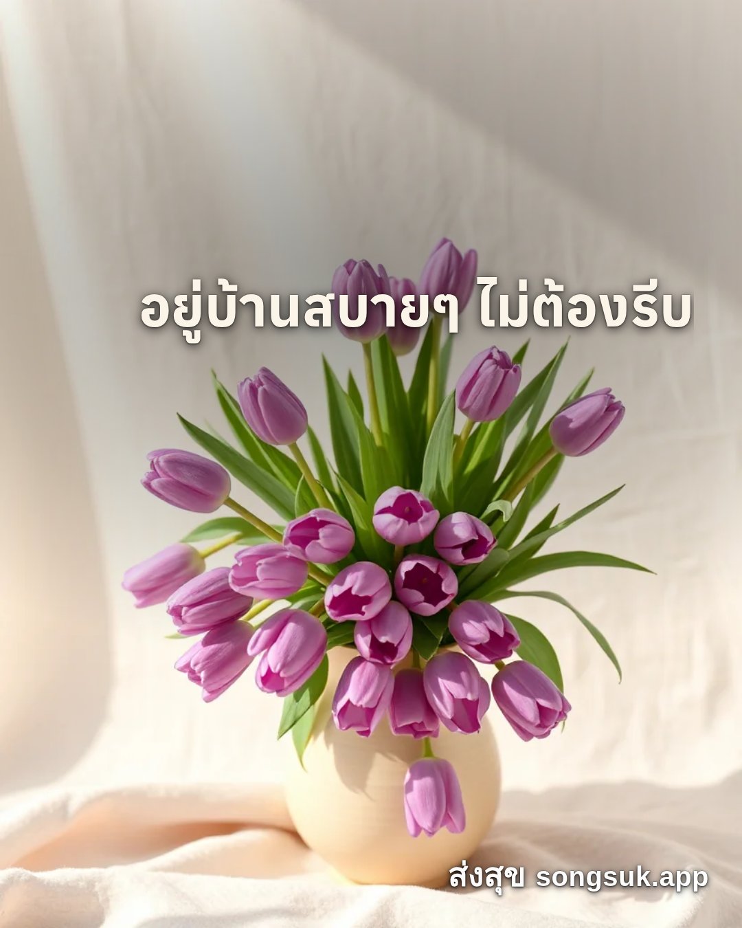 รูปอวยพร สวัสดีวันเสาร์
อยู่บ้านสบายๆ ไม่ต้องรีบ จากส่งสุข