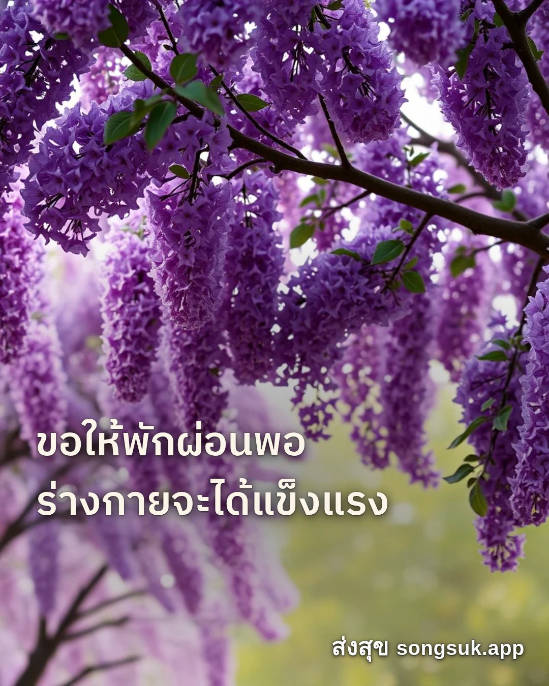 รูปอวยพร สวัสดีวันเสาร์
ขอให้พักผ่อนพอ
ร่างกายจะได้แข็งแรง จากส่งสุข
