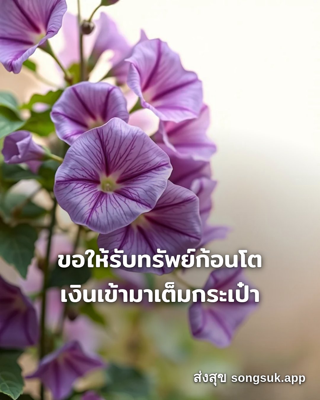รูปอวยพร สวัสดีวันเสาร์
ขอให้รับทรัพย์ก้อนโต
เงินเข้ามาเต็มกระเป๋า จากส่งสุข