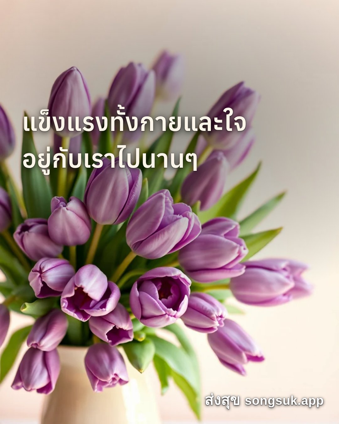 รูปอวยพร สวัสดีวันเสาร์
แข็งแรงทั้งกายและใจ
อยู่กับเราไปนานๆ จากส่งสุข