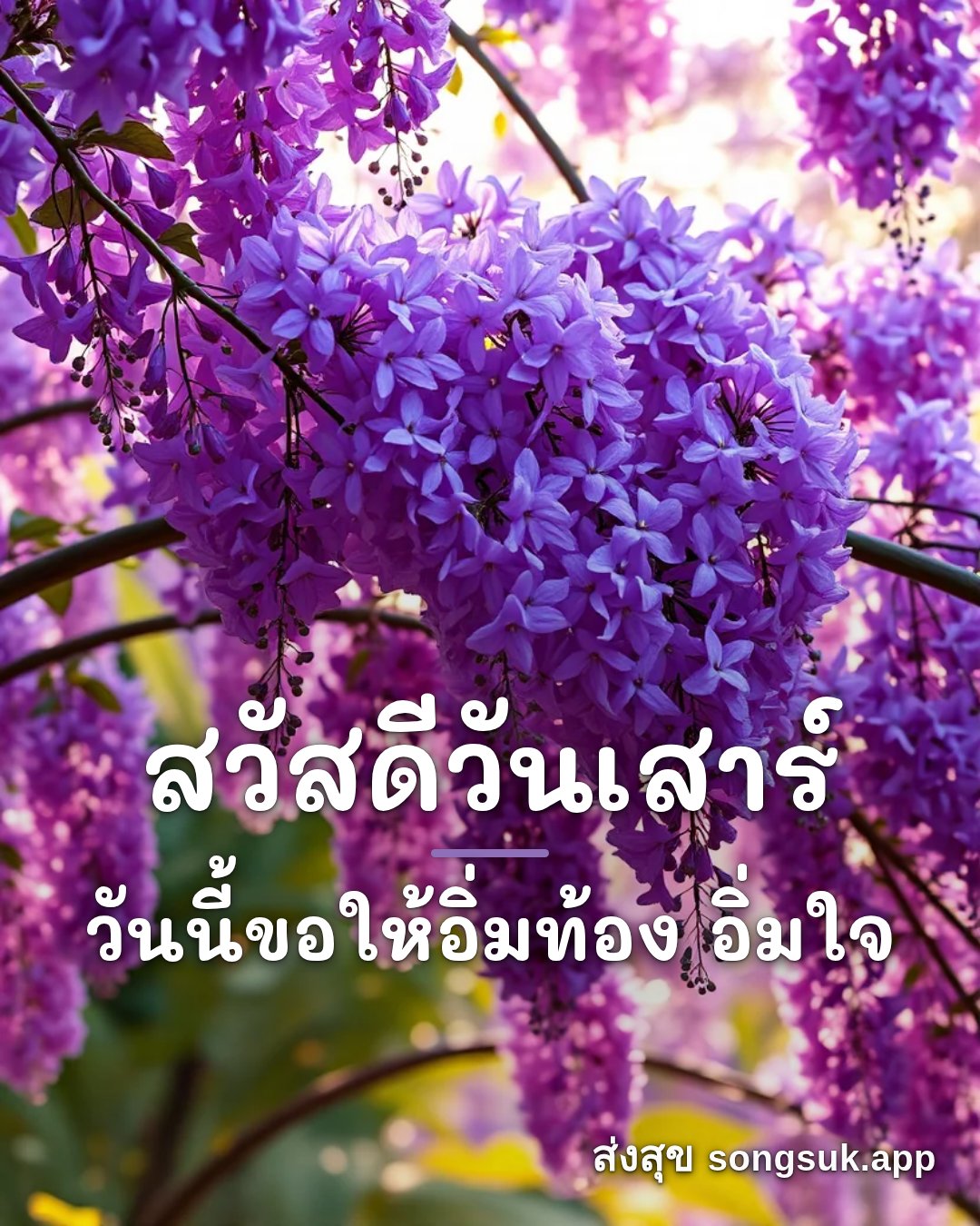 รูปอวยพร สวัสดีวันเสาร์
วันนี้ขอให้อิ่มท้อง อิ่มใจ จากส่งสุข