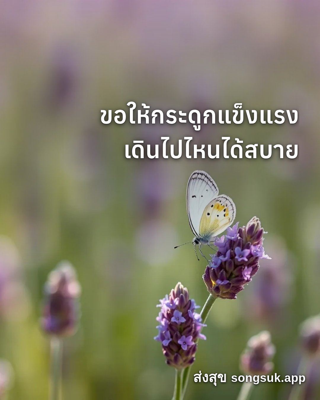 รูปอวยพร สวัสดีวันเสาร์
ขอให้กระดูกแข็งแรง
เดินไปไหนได้สบาย จากส่งสุข