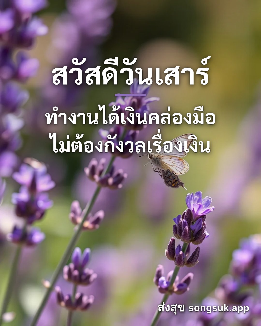รูปอวยพร สวัสดีวันเสาร์
ทำงานได้เงินคล่องมือ
ไม่ต้องกังวลเรื่องเงิน จากส่งสุข