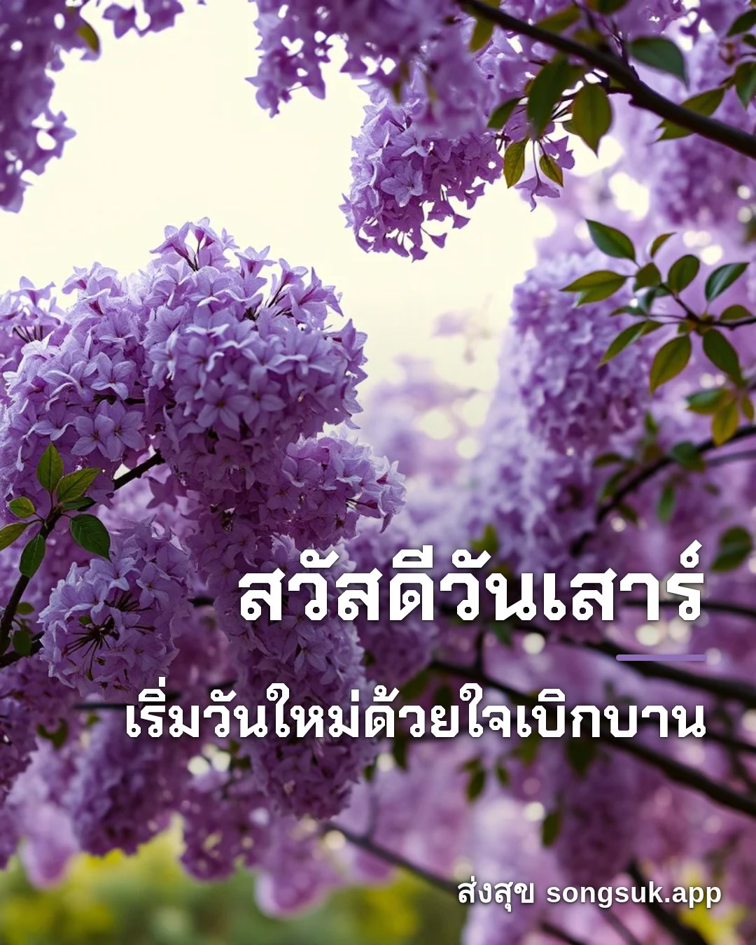 รูปอวยพร สวัสดีวันเสาร์
เริ่มวันใหม่ด้วยใจเบิกบาน จากส่งสุข