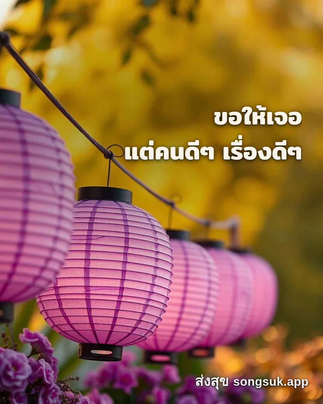 รูปอวยพร สวัสดีวันเสาร์
ขอให้เจอ
แต่คนดีๆ เรื่องดีๆ จากส่งสุข