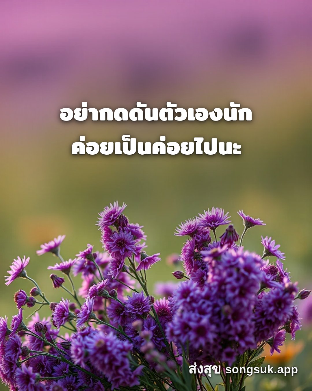 รูปอวยพร สวัสดีวันเสาร์
อย่ากดดันตัวเองนัก
ค่อยเป็นค่อยไปนะ จากส่งสุข