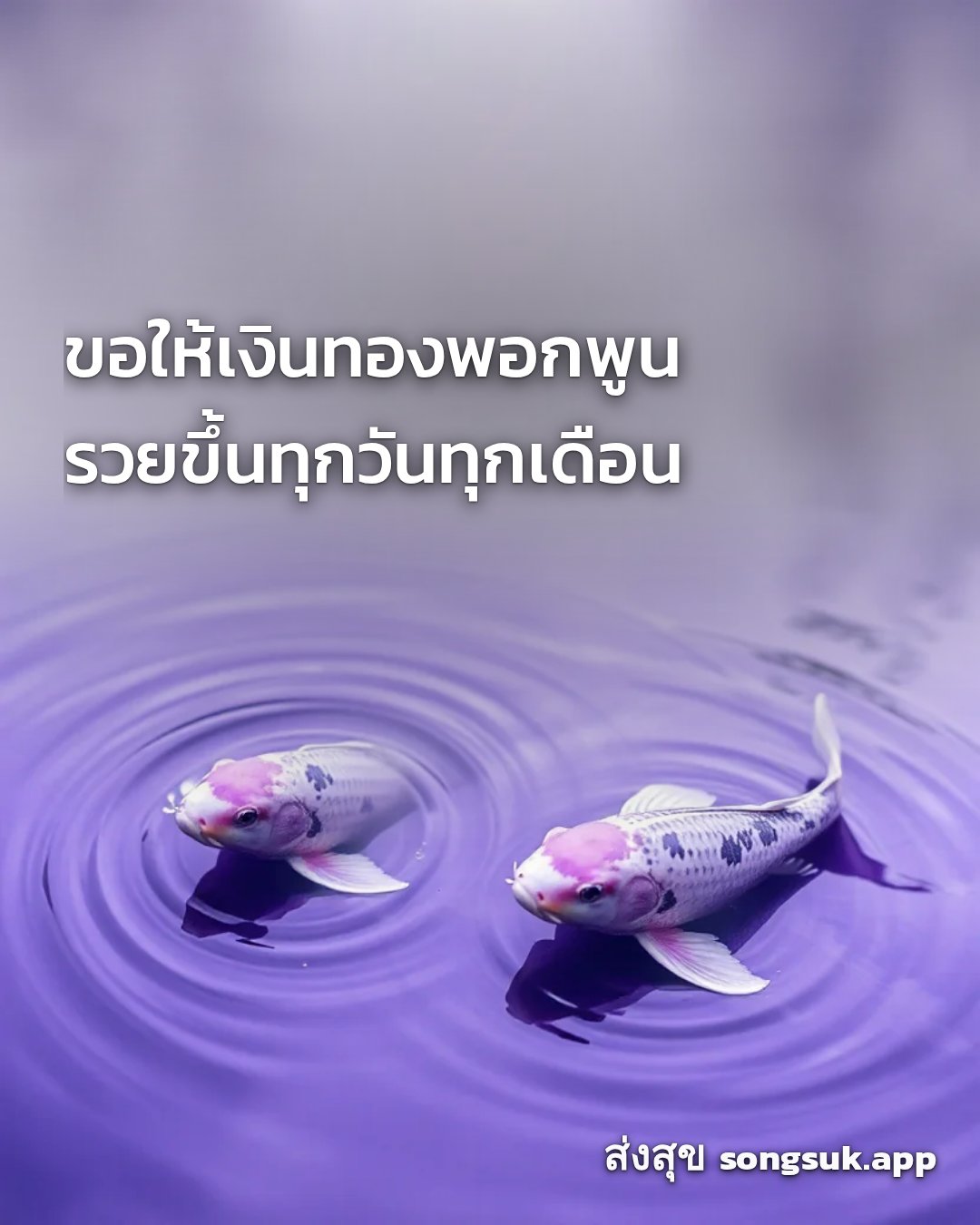 รูปอวยพร สวัสดีวันเสาร์
ขอให้เงินทองพอกพูน
รวยขึ้นทุกวันทุกเดือน จากส่งสุข