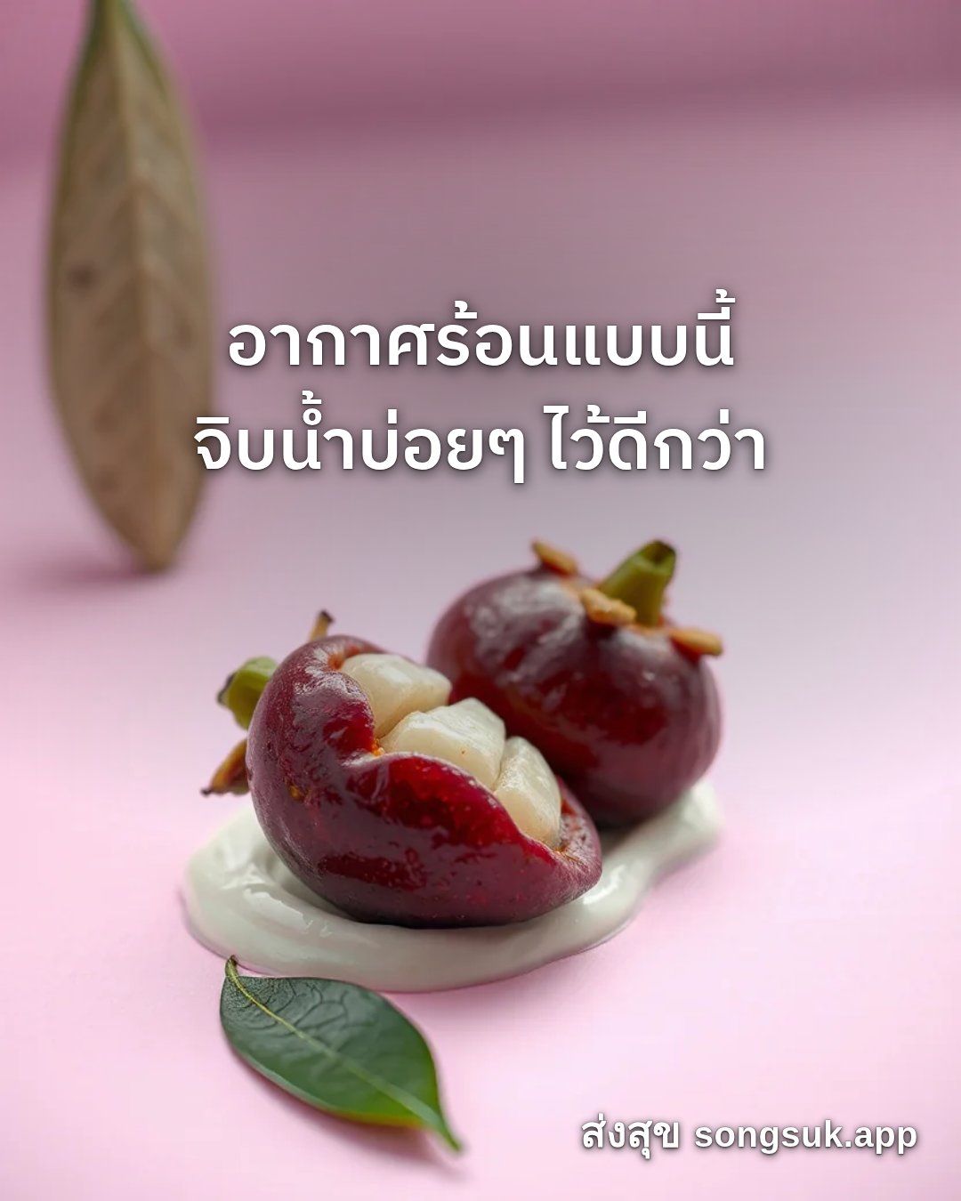 รูปอวยพร สวัสดีวันเสาร์
อากาศร้อนแบบนี้
จิบน้ำบ่อยๆ ไว้ดีกว่า จากส่งสุข