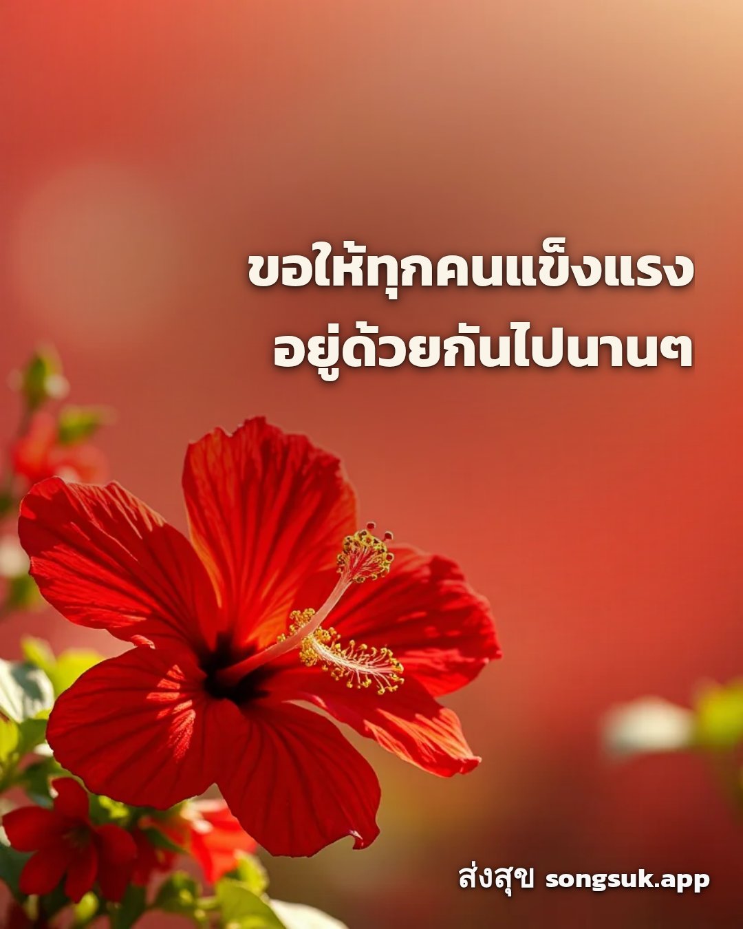 รูปอวยพร สวัสดีวันอาทิตย์
ขอให้ทุกคนแข็งแรง
อยู่ด้วยกันไปนานๆ จากส่งสุข