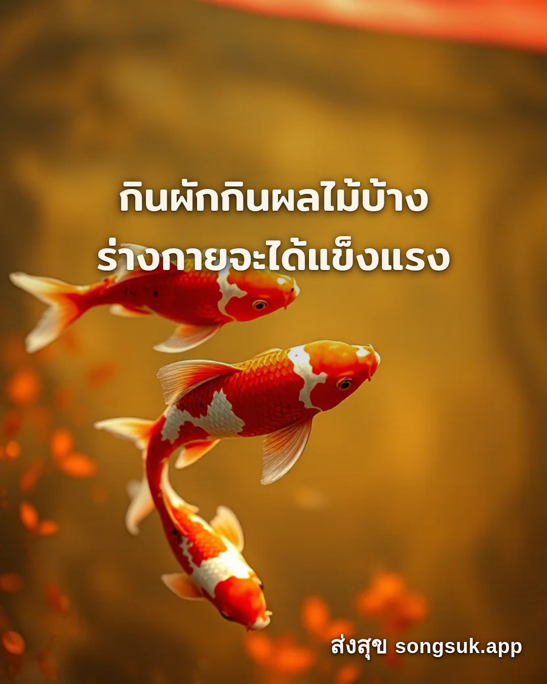 รูปอวยพร สวัสดีวันอาทิตย์
กินผักกินผลไม้บ้าง
ร่างกายจะได้แข็งแรง จากส่งสุข