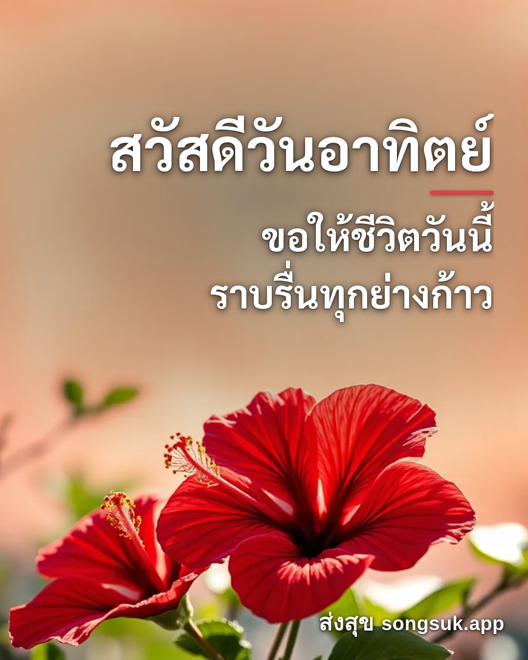 รูปอวยพร สวัสดีวันอาทิตย์
ขอให้ชีวิตวันนี้
ราบรื่นทุกย่างก้าว จากส่งสุข