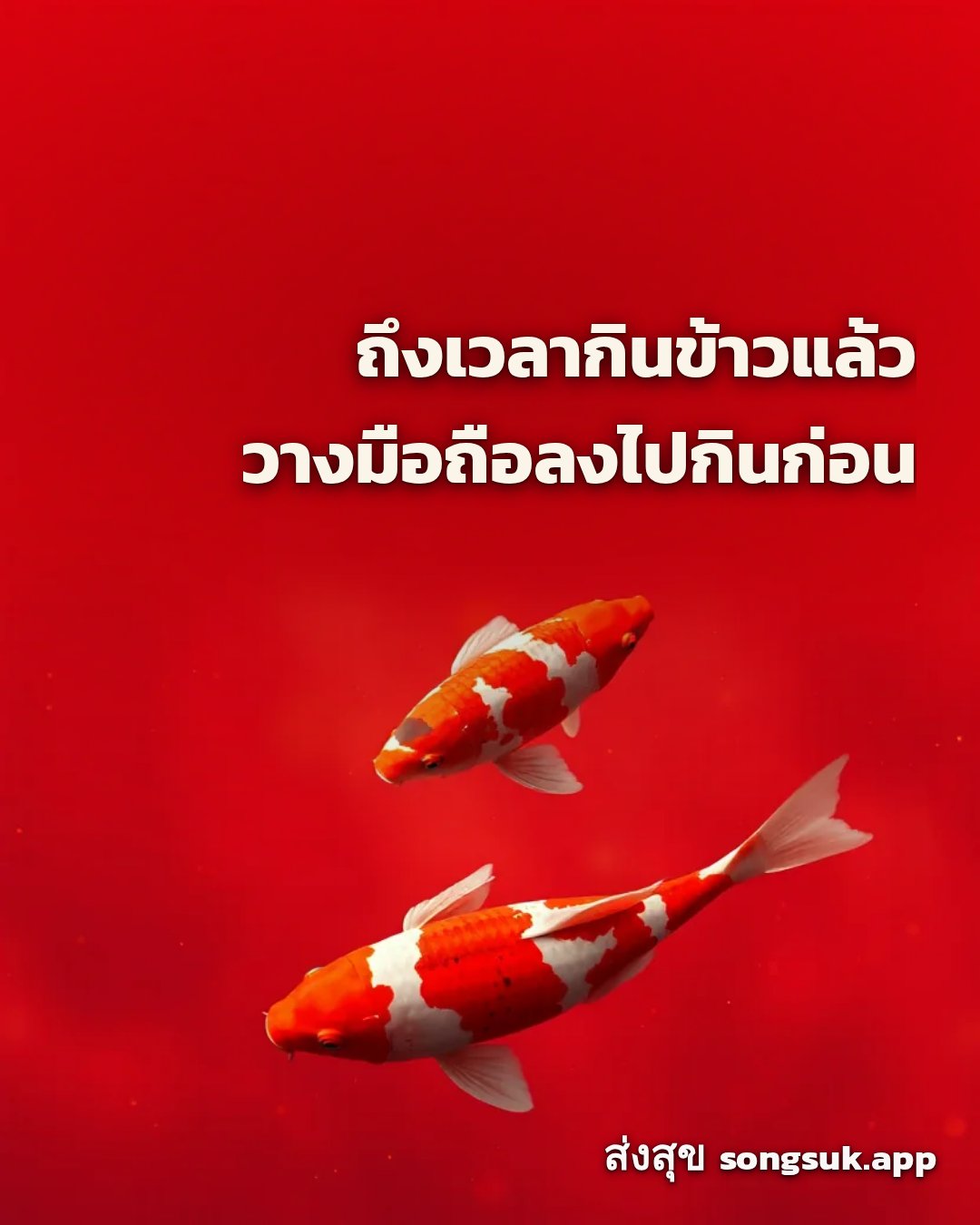 รูปอวยพร สวัสดีวันอาทิตย์
ถึงเวลากินข้าวแล้ว
วางมือถือลงไปกินก่อน จากส่งสุข